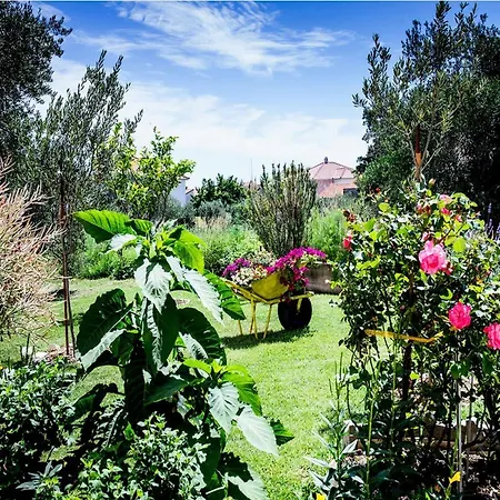 Appartamento Two Bedroom *